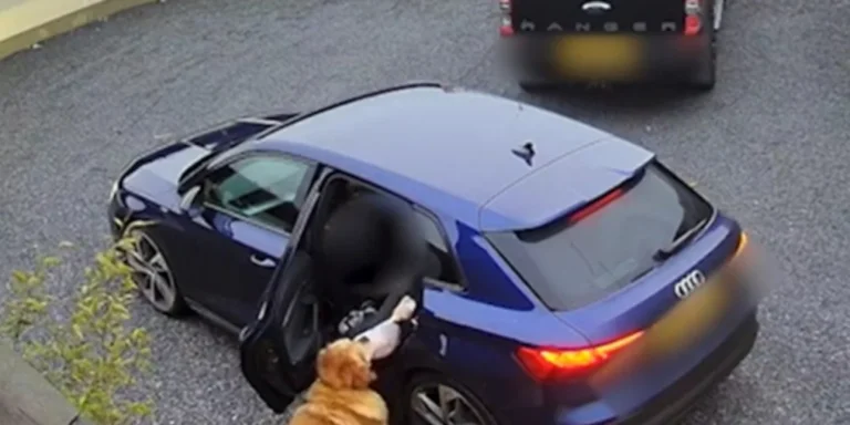 Θα κλάψετε από τα γέλια: Σκύλος αρπάζει γαλοπούλα και τρέχει (video)