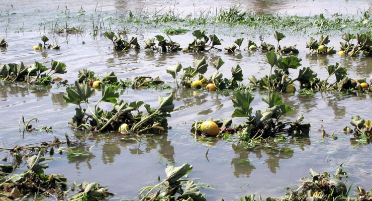 Ευρωπαϊκό Ειδικό Ταμείο αντιμετώπισης φυσικών καταστροφών για τους αγρότες