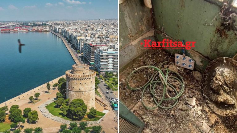 Οι «φτερωτoί» αρουραίοι κάνουν μπάχαλο τη Θεσσαλονίκη (photo)