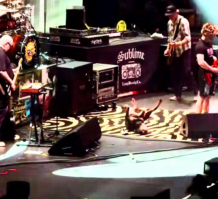 Σκύλος ανεβαίνει στη σκηνή και… χορεύει ασταμάτητα! (video)