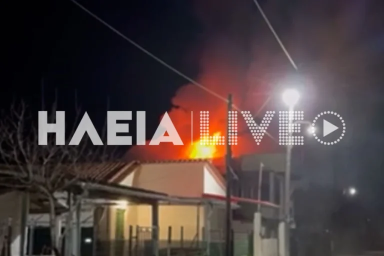 Παρανάλωμα της φωτιάς εξοχική κατοικία στον Πύργο (VIDEO)