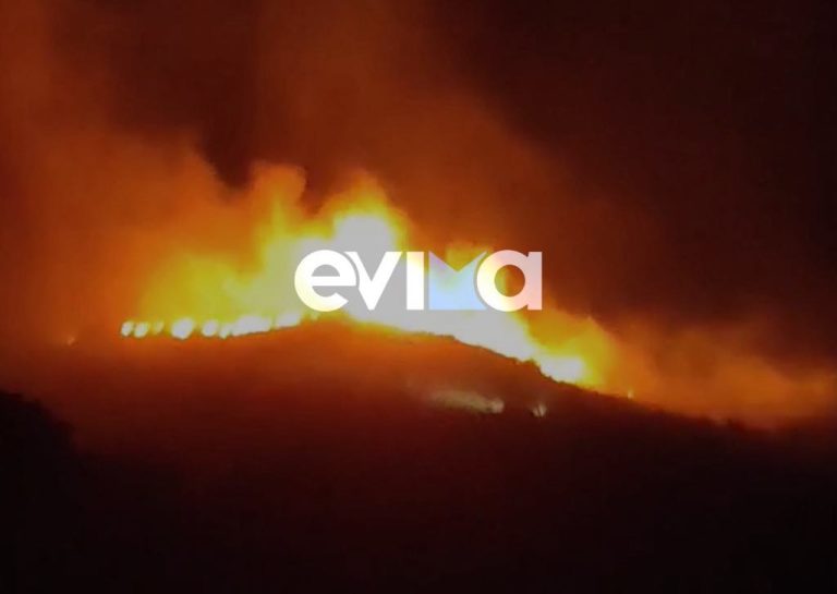 Ολονύχτια μάχη με τις φλόγες στην Κάρυστο (VIDEO)