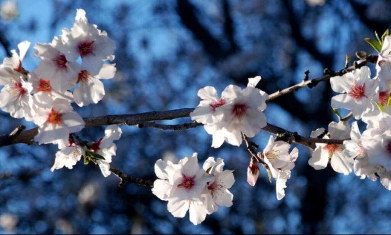 Ανοιξιάτικος καιρός με 19 βαθμούς!