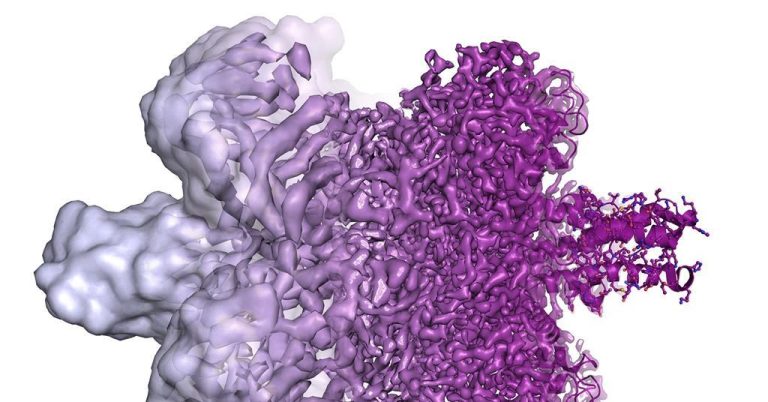 Τι είναι η κρυοηλεκτρονική μικροσκοπία και ποια πρωτιά παίρνει η Ελλάδα