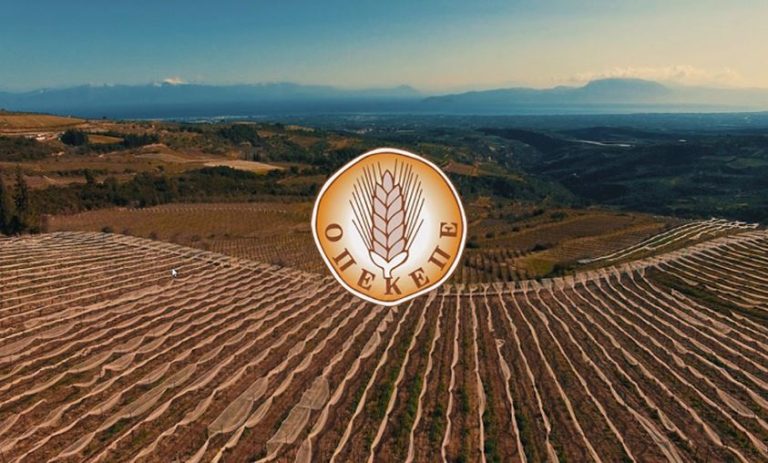 Βήμα-βήμα το πως στήθηκε το μεγάλο «κόλπο» με τον ΟΠΕΚΕΠΕ (video)