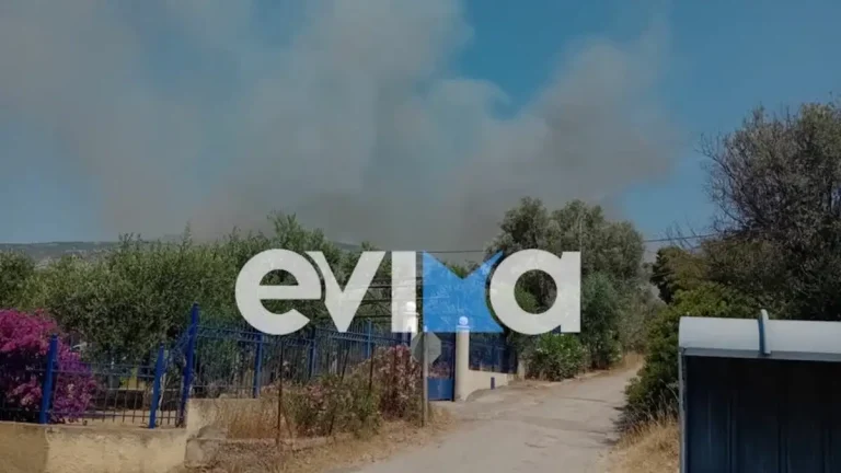 Ήχησε το 112 στην Εύβοια για φωτιά κοντά στην Ερέτρια