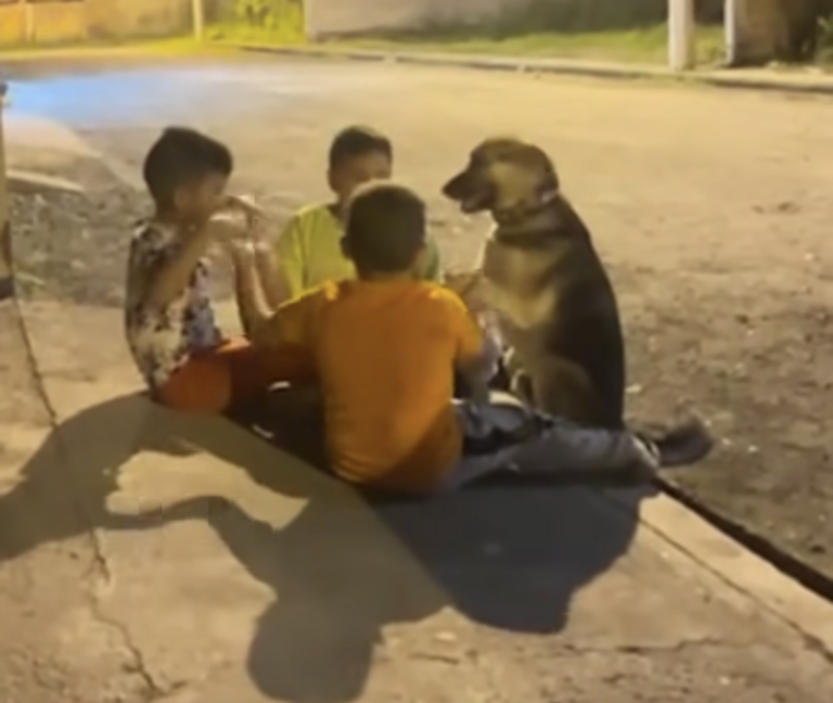 Παιδάκια έκαναν μέλος της παρέας τους έναν… σκύλο! (video)