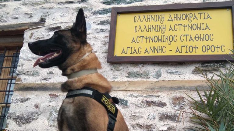 Αποστρατεύεται ο Όσκαρ, ο πιο διάσημος σκύλος περιπολίας της ΕΛ.ΑΣ