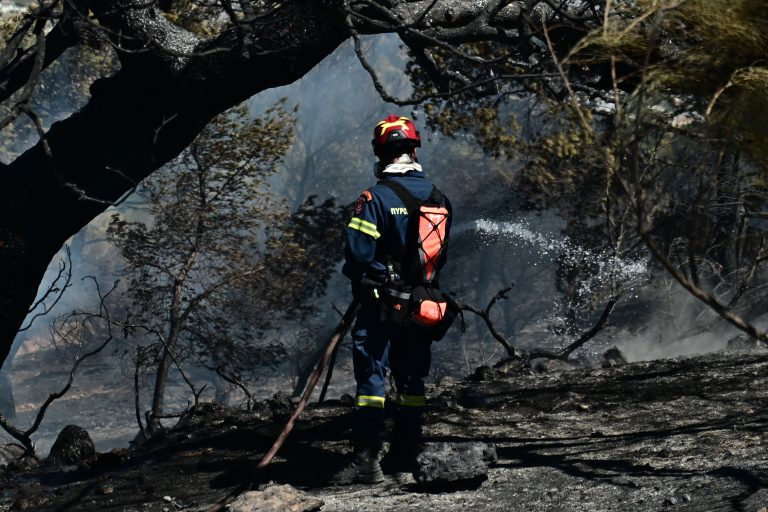 Απίστευτο! Μόνο τον Ιούνιο καταγράφηκαν 1.050 φωτιές! (video)
