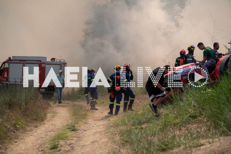 Τιθάσευσαν τις φλόγες στην Αμαλιάδα (VIDEO)