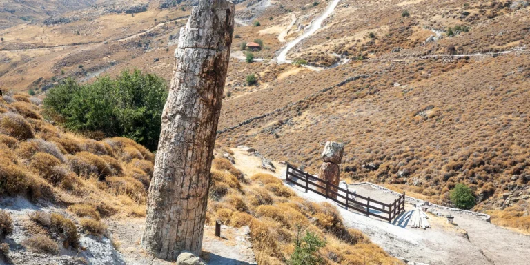 Τα δάση που είχε η Λέσβος πριν από εκατομμύρια χρόνια