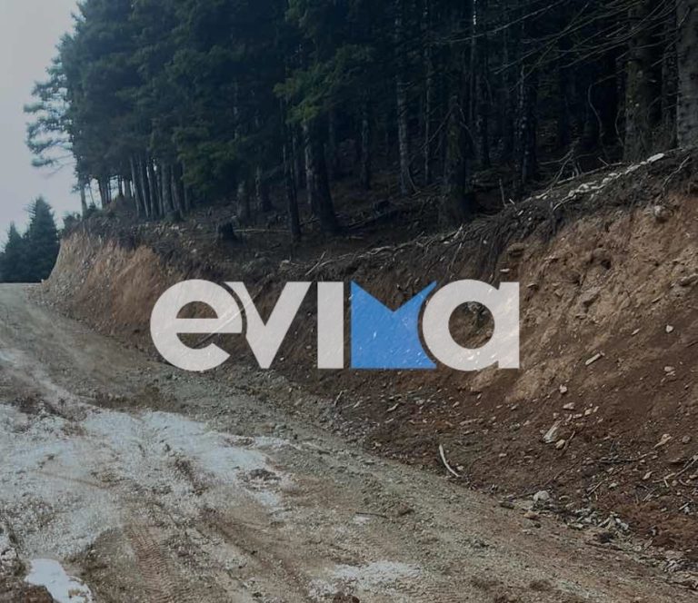 Αγνοούνται περιπατητές σε δύσβατη περιοχή της Εύβοιας – Τηλεφώνησαν σε φίλη τους πριν χαθούν