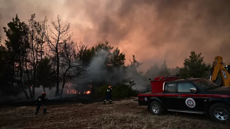 Καλύτερη εικόνα από την πυρκαγιά στον Ωρωπό! Μάχη με τις αναζωπυρώσεις – Δεν κάηκαν σπίτια (photo+video)