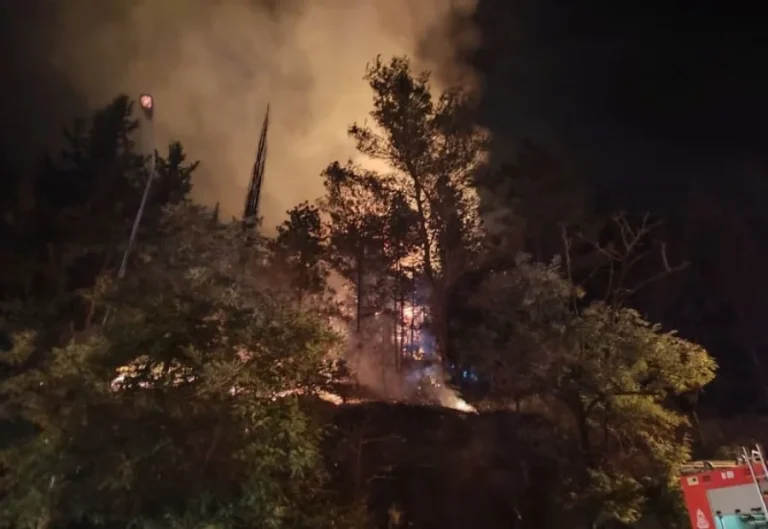 Βραδινός συναγερμός για πυρκαγιά στα Γιάννενα (VIDEO)