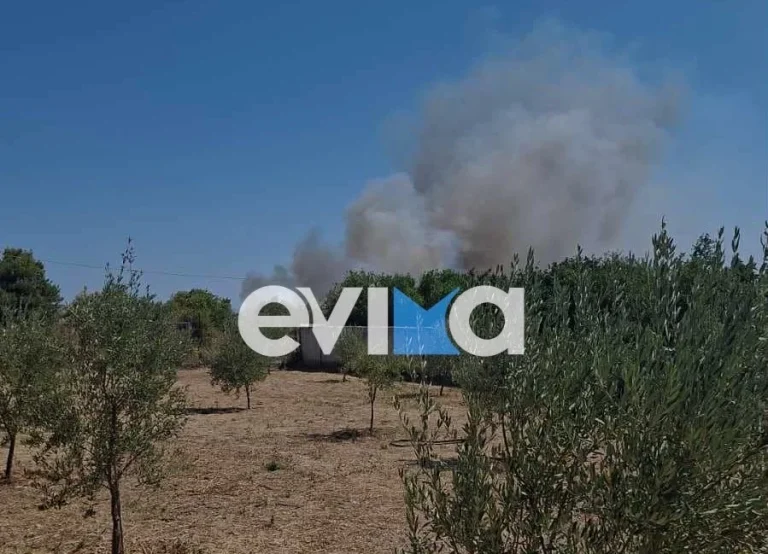 Φωτιά στον Κάμπο Αλιβερίου στην Εύβοια – Μήνυμα του 112 (photo)