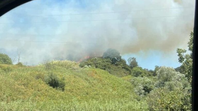 Φωτιά στο Μονολίθι Πρέβεζας (photo)