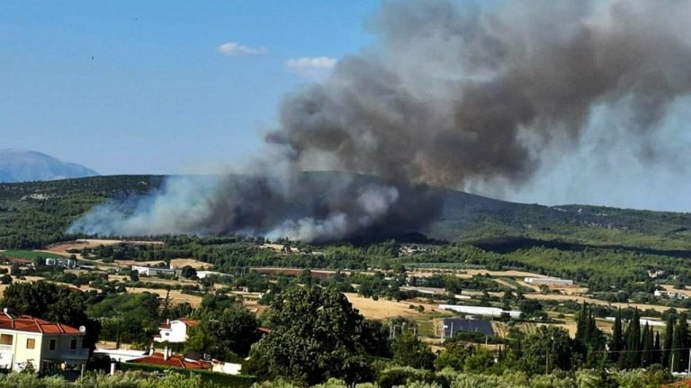Φωτιά στον Ωρωπό: Εκκενώνονται περιοχές (video)