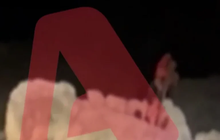 Βίντεο – ντοκουμέντο από τη διάσωση ψαροντουφεκά στον Βόλο – Τα πρώτα του λόγια