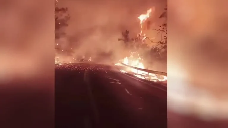 Πύρινη κόλαση στη Θάσο! Καταστράφηκε επιχείρηση, εκκενώθηκαν ξενοδοχεία (photo+video)