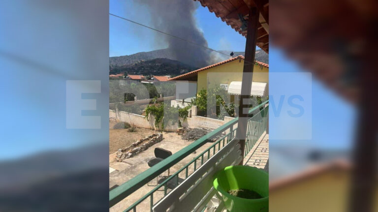 Οι φλόγες «έζωσαν» οικισμό στη Βοιωτία (VIDEO)