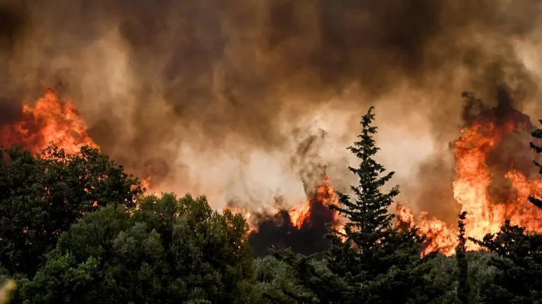 Σε πύρινο κλοιό η Ελλάδα! Ζάκυνθος, Πρέβεζα, Άρτα, Αχαΐα! (VIDEO)