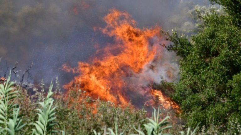 Πυρκαγιές σε Ηλεία και Καλάβρυτα