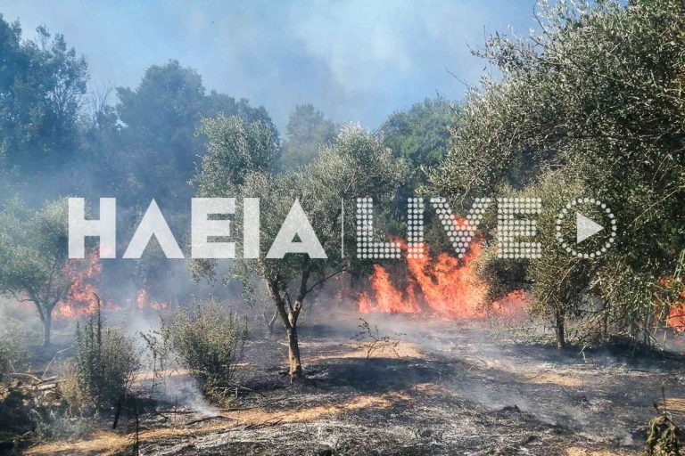 Μάχη με τις φλόγες στην Ηλεία (PHOTOS)