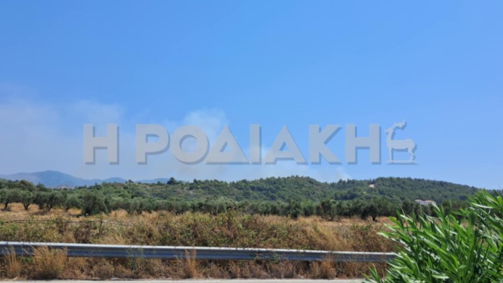 Συναγερμός για πυρκαγιά στη Ρόδο! (VIDEO)