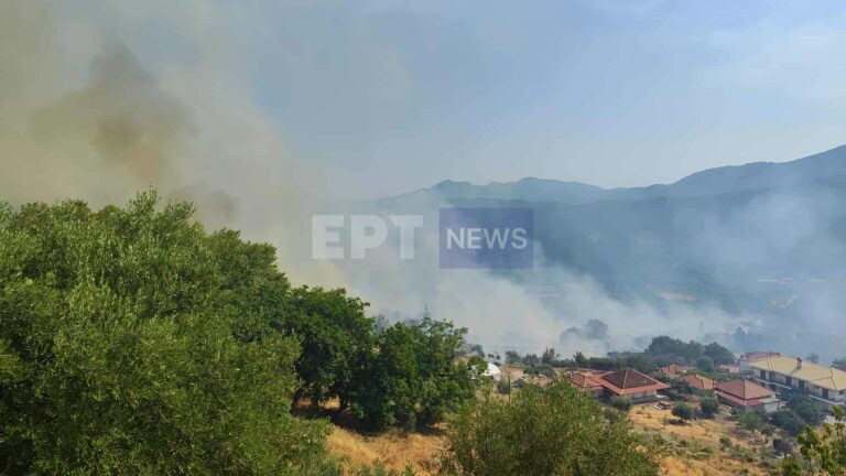 Μάχη με τις φλόγες σε Ηλεία και Πρέβεζα (VIDEO)