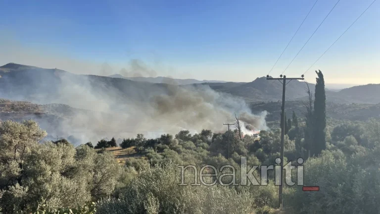 Κινητοποίηση για πυρκαγιά και στην Κρήτη (VIDEO)