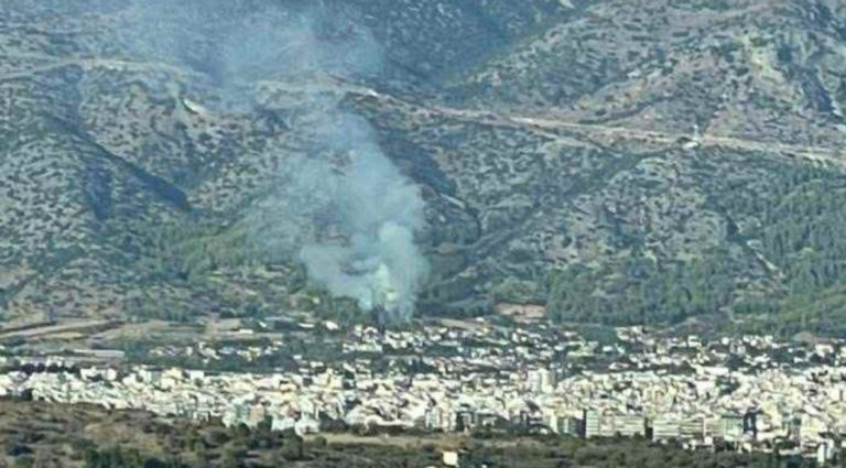 Συναγερμός για πυρκαγιά στη Μαγνησία (VIDEO)