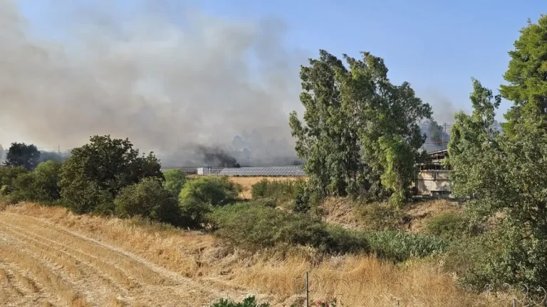 Συναγερμός για πυρκαγιά στα Οινόφυτα