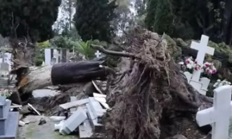Έσπασαν τάφοι σε νεκροταφείο από πεσμένα κυπαρίσσια στην Κέρκυρα από την κακοκαιρία (photo+video)
