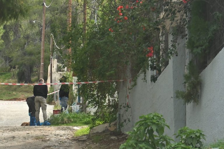 Πώς η ΕΛΑΣ “τσάκωσε” τη νύφη-δολοφόνο της Σαλαμίνας