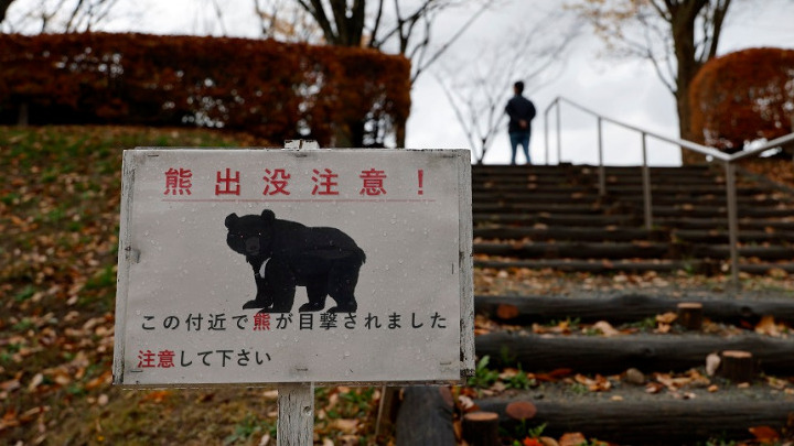 Ιαπωνία: Μια πόλη αφαίρεσε εικόνες αρκούδων που δημιουργήθηκαν από τεχνητή νοημοσύνη