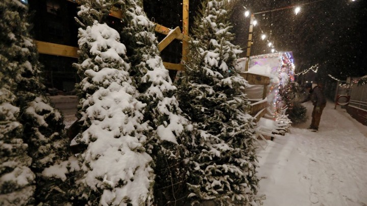 Ντοκιμαντέρ για πέντε οικογένειες εμπόρων χριστουγεννιάτικων δέντρων στη Νέα Υόρκη