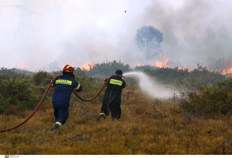 Φωτιά τώρα στο Κρυονέρι Αττικής