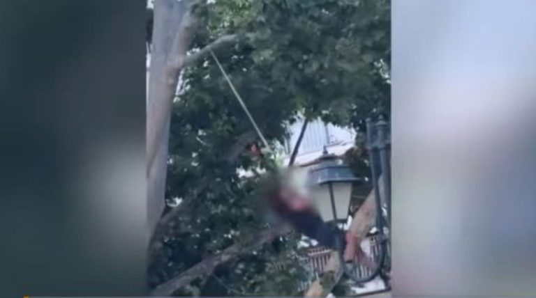 Κόβει την ανάσα ο… Ταρζάν της Καλλιθέας (VIDEO)