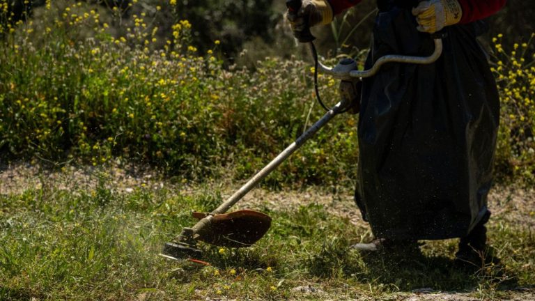 Τελευταία ημέρα για τα ακαθάριστα οικόπεδα – Έρχονται πρόστιμα και έλεγχοι