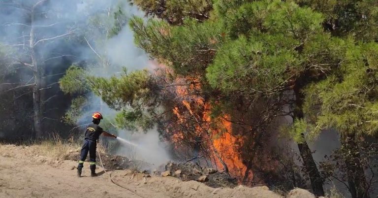 Έβρος: Απέδωσε η μεγάλη κινητοποίηση της Πυροσβεστικής – Οριοθετήθηκε η δασική πυρκαγιά
