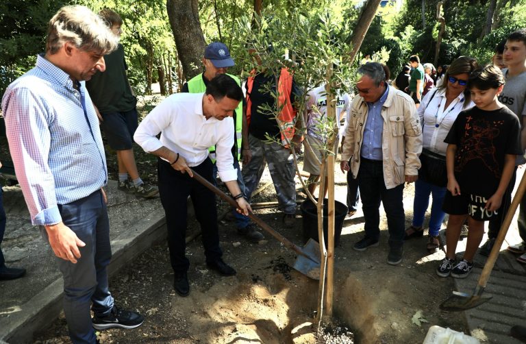 Δήμος Αθηναίων: Ξεπέρασαν τις 12.300 οι νέες δενδροφυτεύσεις – Νέες παρεμβάσεις πρασίνου σε γειτονιές της πόλης