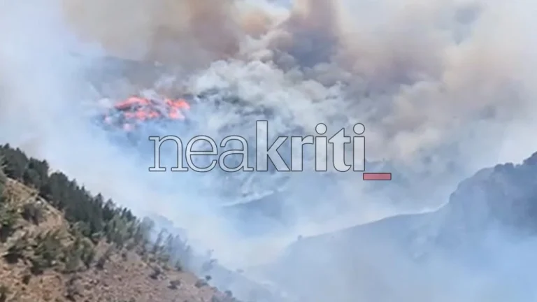 Φωτιά στο Μελιδοχώρι Ηρακλείου: Μάχη με τις φλόγες υπό τον φόβο εξάπλωσης (Video)