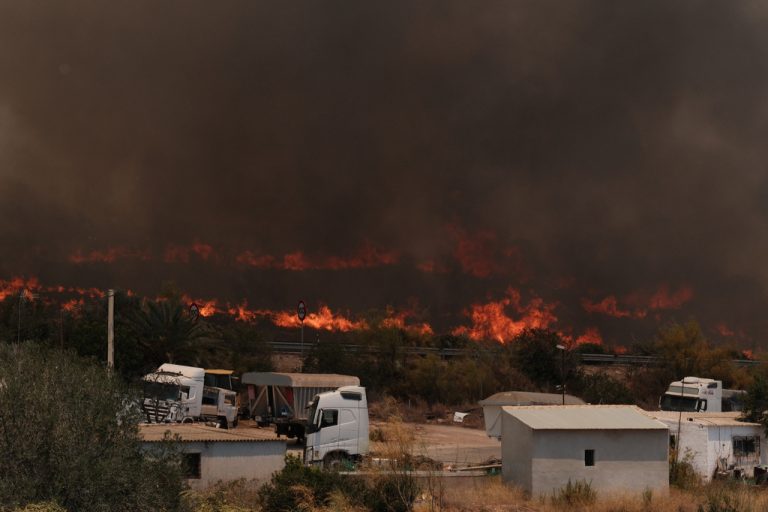 Όλεθρος στην Ισπανία: Στάχτη περισσότερα από 260.000 στρέμματα δασικής έκτασης