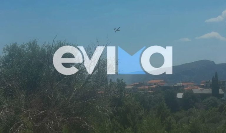 Χωρίς ενεργό μέτωπο η πυρκαγιά στην Εύβοια – Άμεσα αποτελεσματικό το Πυροσβεστικό Σώμα