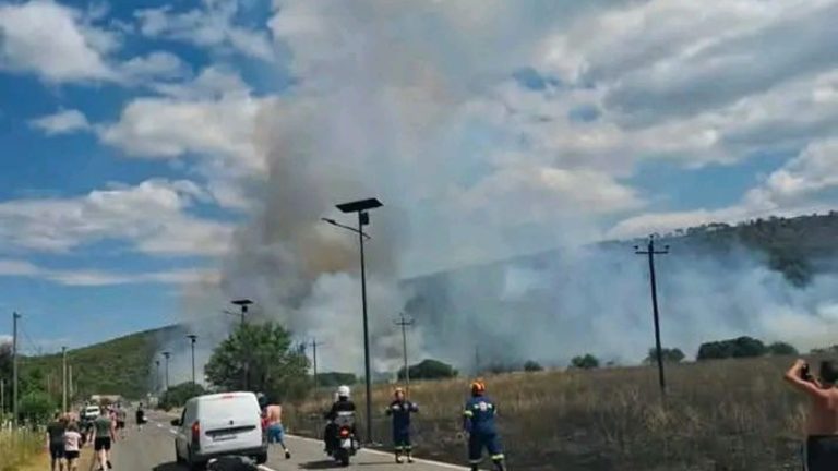 Συναγερμός στην Οινόη: Φωτιά κοντά σε δασική έκταση