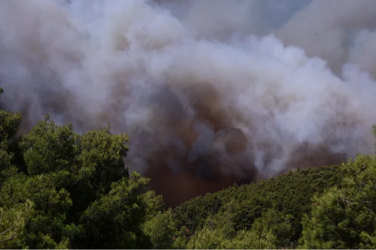 Μάχη με πολλαπλά πύρινα μέτωπα – Σε κατάσταση συναγερμού η Αττικοβοιωτία, εκκενώσεις σε Πόρτο Γερμενό, Βενίζα και Μέγαρα