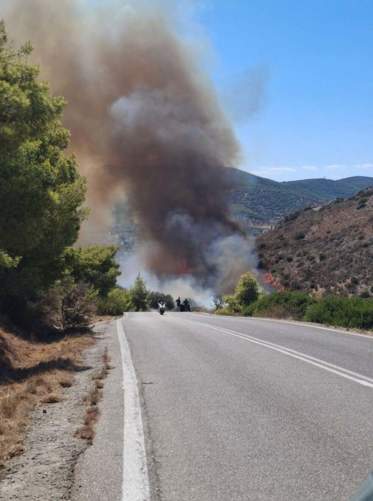 Σκύρος: Σε μερικό έλεγχο η πυρκαγιά – «Έντονη η εκτίμηση για εμπρησμό», λέει ο δήμαρχος