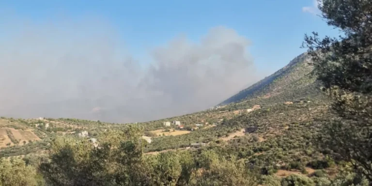 Συναγερμός στην Πυροσβεστική – Φωτιά στον Κουβαρά Αττικής – Εκκενώνεται ο Άγιος Στυλιανός