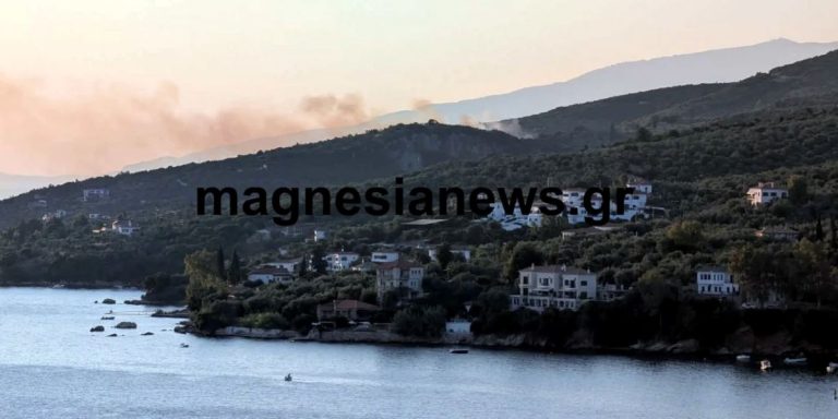 Φωτιά σε αγροτοδασική έκταση στο Νότιο Πήλιο – Σηκώθηκαν τέσσερα εναέρια, εστάλη 112 για ετοιμότητα