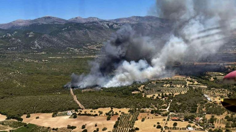 Δυτική Αττική: Δραματική μάχη με τις αναζωπυρώσεις – Διαδοχικά μηνύματα του 112 για εκκενώσεις, ανεξέλεγκτες εστίες στον Κιθαιρώνα (Video)